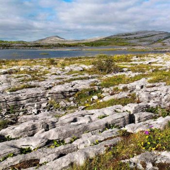 Clare - The Burren