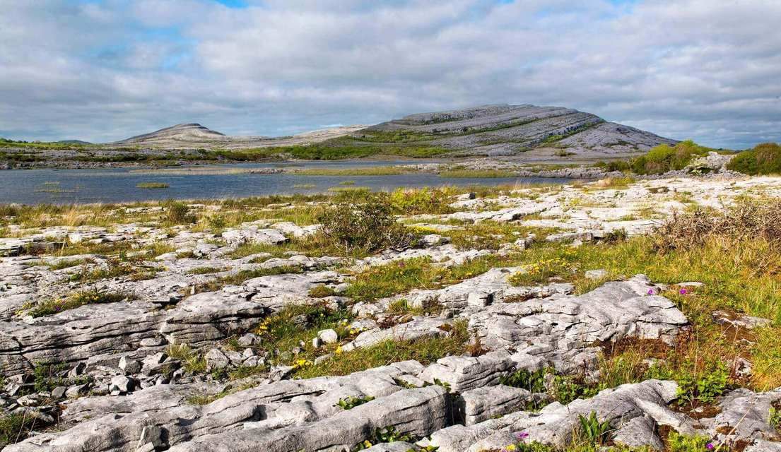 Clare - The Burren