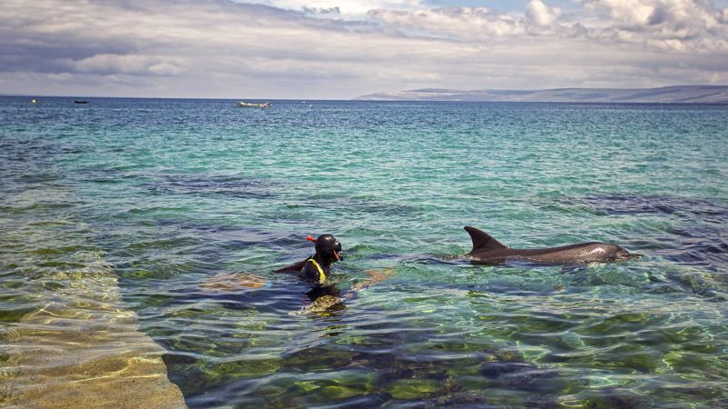 Scuba Diving, Aran Islands, Co Galway_Web Size